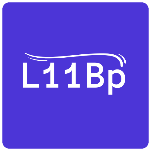 Laravel 11 Boilerplate Logo